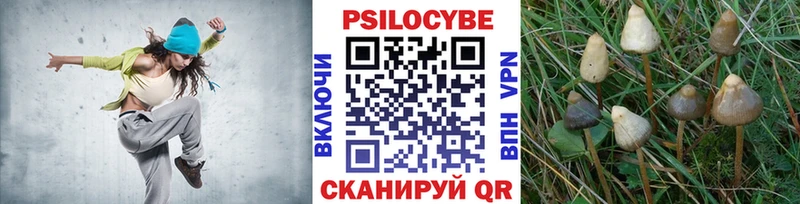 мориарти формула  Ельня  Псилоцибиновые грибы прущие грибы  как найти закладки 