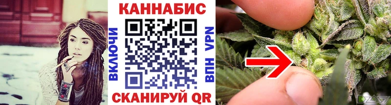 Бошки Шишки план  мега зеркало  Ельня 
